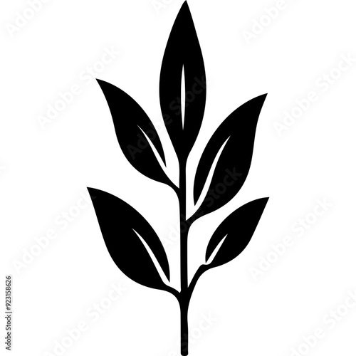 Plant Leaf