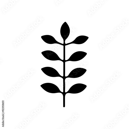 Plant Leaf