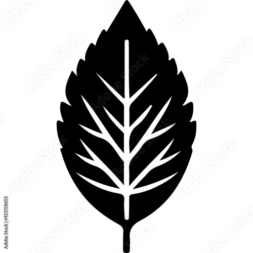 Plant Leaf