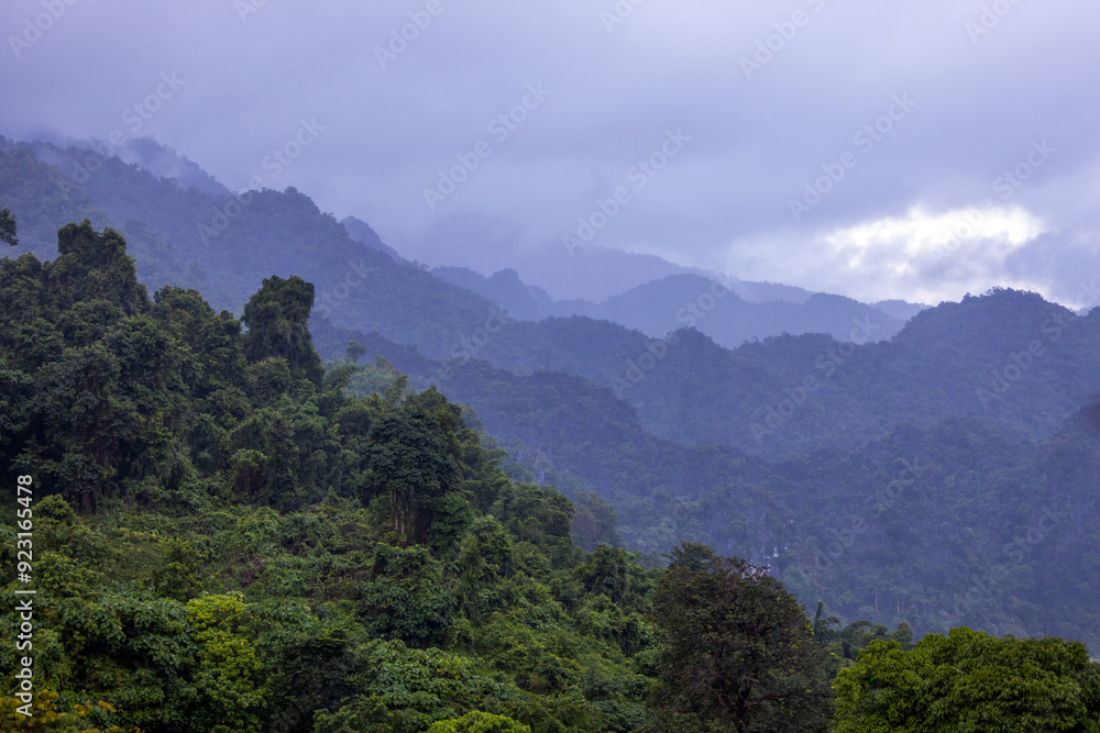 Naklejka premium Lush green mountain landscape with trees and mist after rain. The vibrant greenery of the mountain layers contrasts beautifully with the soft ethereal fog.