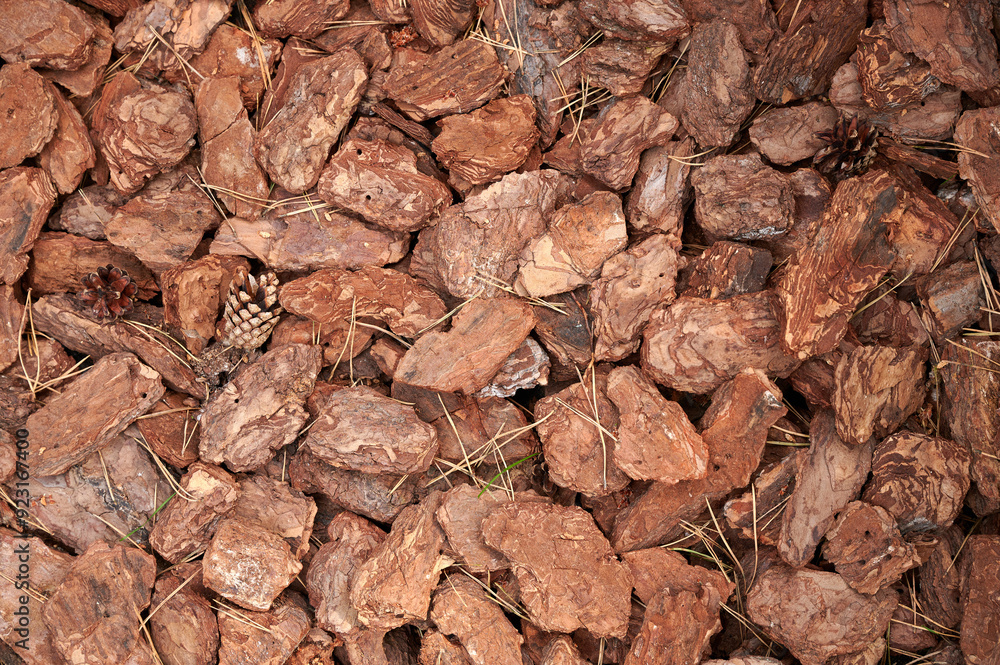 Tree bark as a decorative element of a country space. Tree bark with cones and spruce needles. Tree bark as a decorative element of a country space. Tree bark with cones and spruce needles.