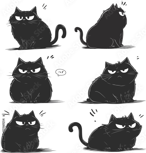 Grumpy Black Cat Illustrations