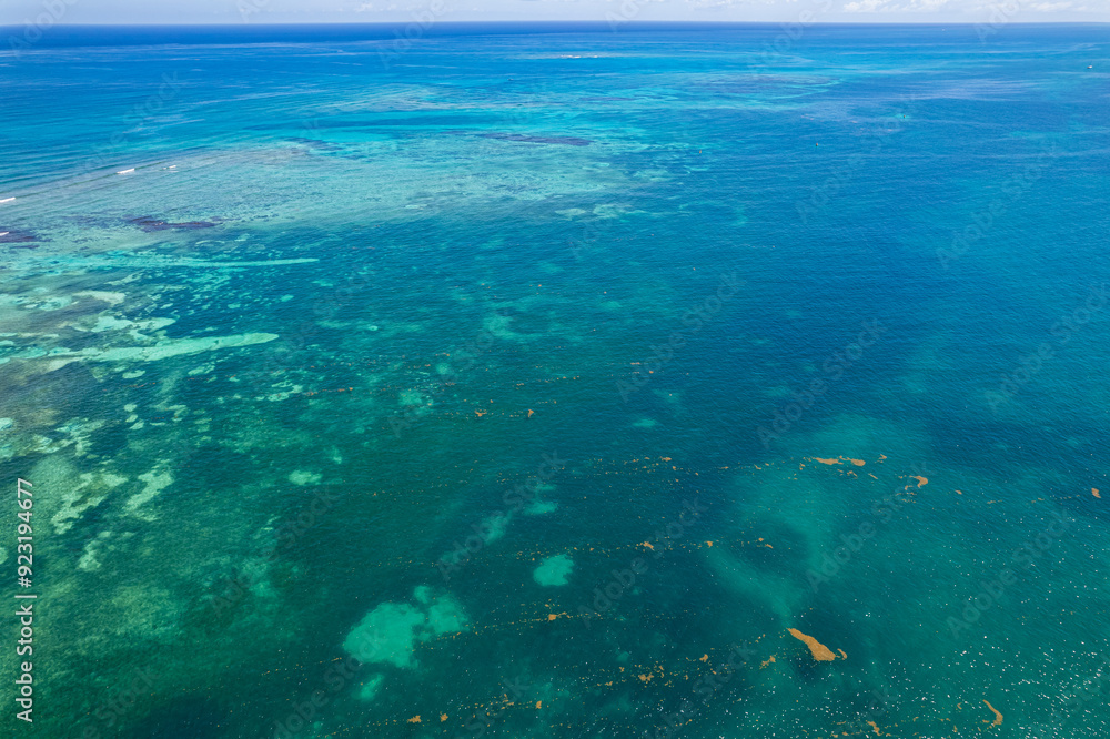 Fototapeta premium Drone view of Coral Reef in Puerto Morelos, Mexico