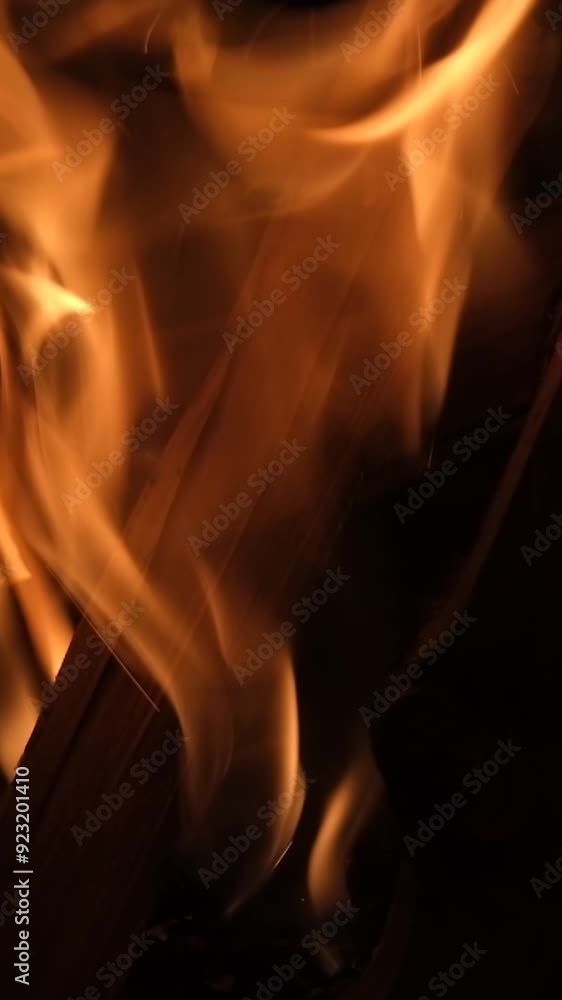 Night shooting campfire in vertical format. Flames and pieces of wood. Campfire burning in the night forest on black background. Night shooting campfire in vertical format. Flames and pieces of wood. Campfire burning in the night forest on black background.