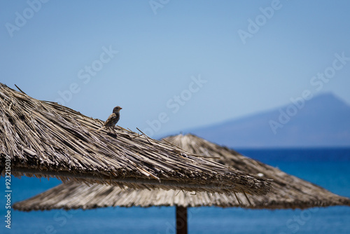 A bird is perched on a straw umbrella on a beach. The sky is blue and the ocean is in the background