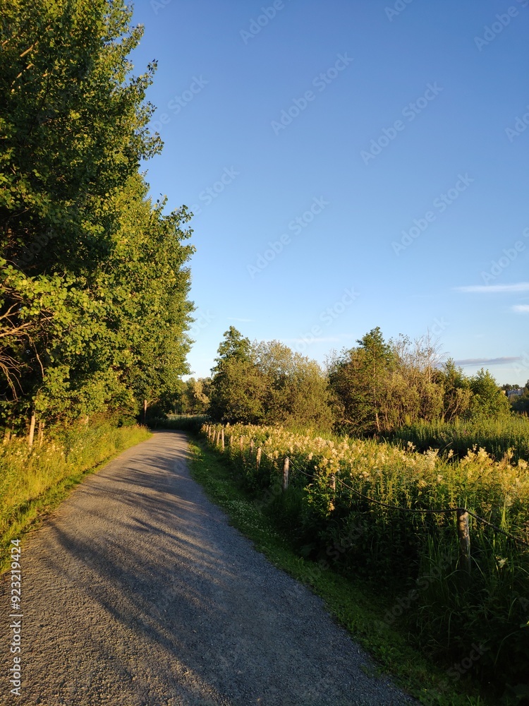 Naklejka premium country road