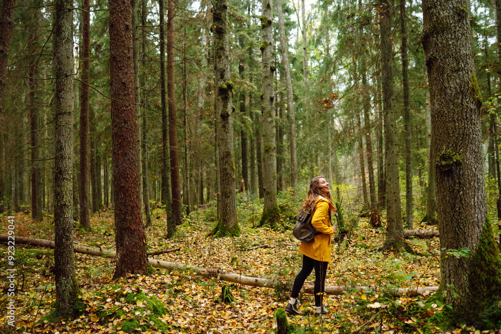 Young woman walks through a pine forest, restoring health and psyche in nature. Forest baths. Active lifestyle. Young woman walks through a pine forest, restoring health and psyche in nature. Forest baths. Active lifestyle.