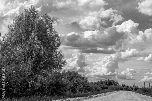 Landscape panorama of green forest and dirt road. Black and white photography. The road is paved. Blue clouds in the sky. Highway through the forest. Natural landscape For travel and trips to nature.