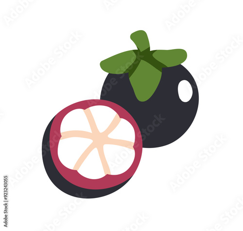Mangosteen, cut half piece and whole fruit. Exotic tropical mangosten cross-section, ripe flesh. Healthy natural vitamin food, eating. Flat graphic vector illustration isolated on white background
