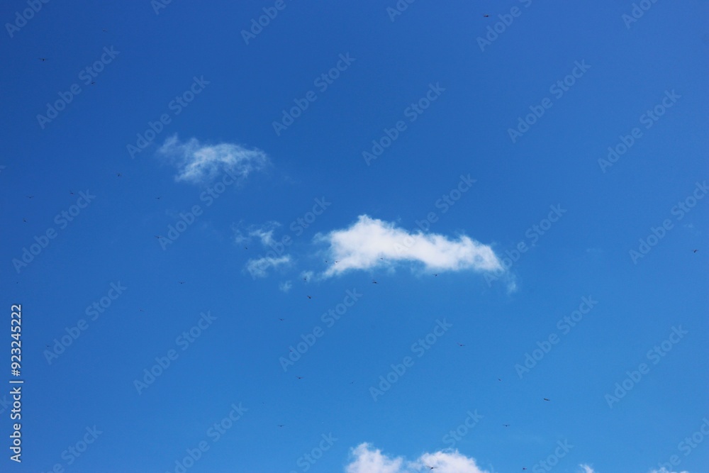 white cloud with blue sky background