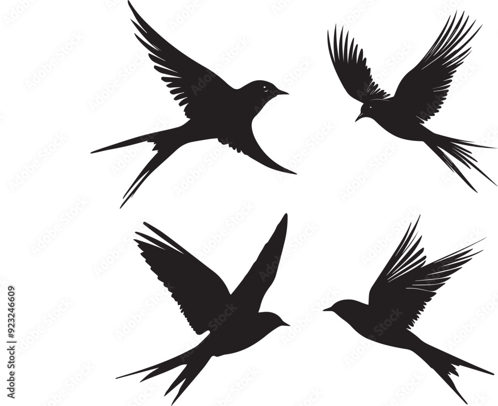 Set of Flying Swallow Silhouette Vector Set of Flying Swallow Silhouette Vector