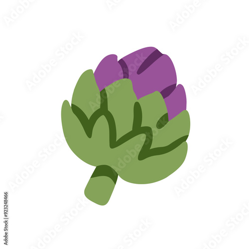 Artichoke, fresh organic vegetable icon. Whole green and purple bud, natural ...