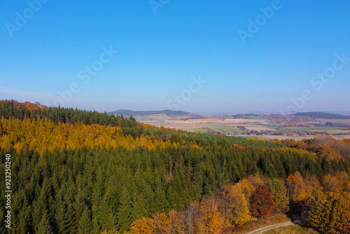 Autumn Forest Aerial View: Tranquil Scenic Landscape for Nature Lovers and Travel Posters