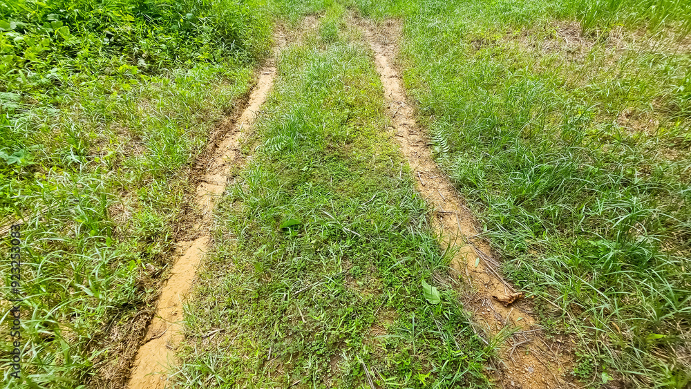 Road in rural areas with tire marks. A muddy path in the grass. Farm track crossing a grass field. Rural road through the green meadow. Village Road Road in rural areas with tire marks. A muddy path in the grass. Farm track crossing a grass field. Rural road through the green meadow. Village Road