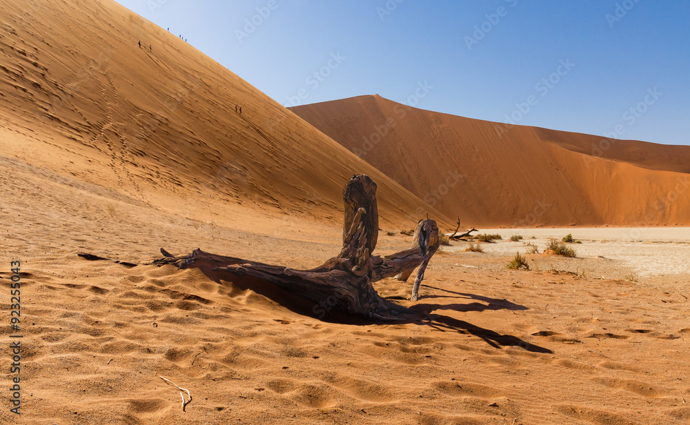 Namib Dünen mit Baumstumpf