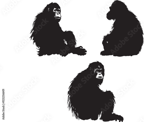 Set of Orangutan Silhouette  Vector 