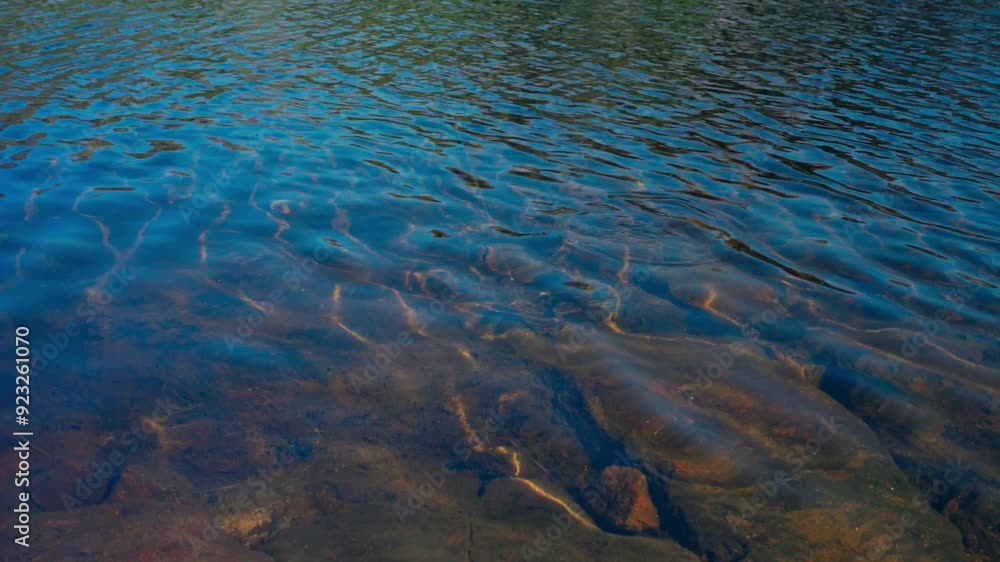 Catching Fish In Clear Lake With Fishing Line. static shot Catching Fish In Clear Lake With Fishing Line. static shot