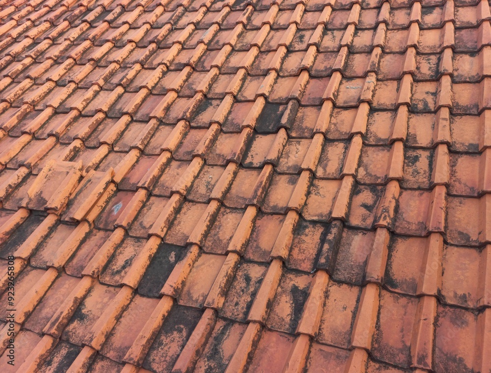 Terracotta Roof or Clay tile roofs with old condition from nature that can be used for slide show background, banner, wallpaper, etc. | Natural and raw photos with natural vintage texture and colors Terracotta Roof or Clay tile roofs with old condition from nature that can be used for slide show background, banner, wallpaper, etc. | Natural and raw photos with natural vintage texture and colors