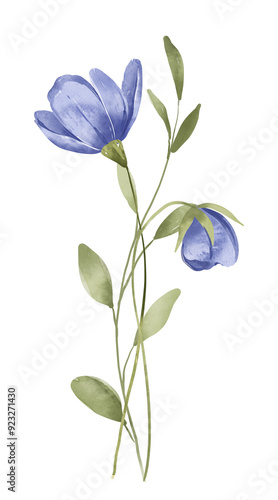 Blue flower and leaves, floral watercolor digital illustration for greeting card, invitation and other printing design. Isolated on white. Hand drawing.