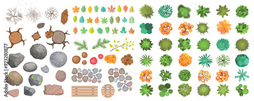 Top view of a set of isolated vector images for creating a forest: a variety of trees, shrubs, dry branches, stumps, stones, benches, tables, tree leaves, berries, mushrooms, moss. View from above.