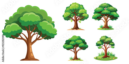 Collection of evergreen forest plants