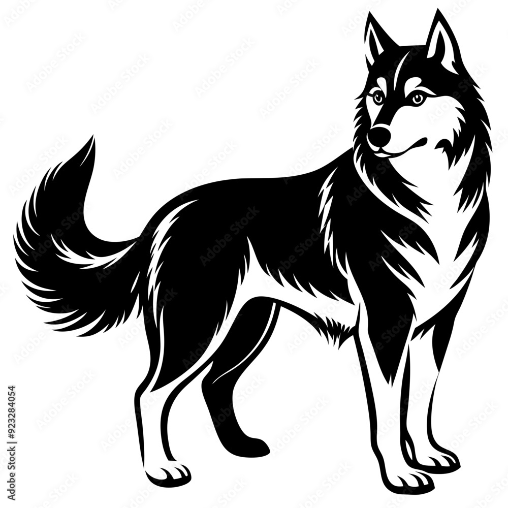 black and white dog black and white dog