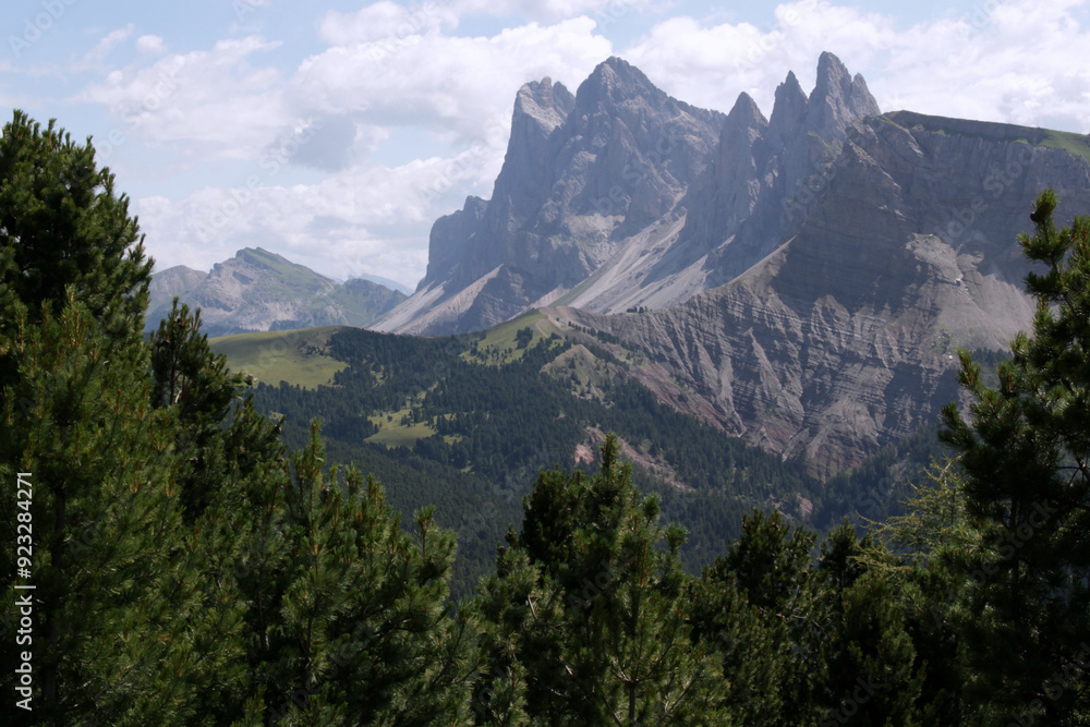 Fototapeta premium Landscape with a mountain range with pine trees in the foreground against a cloudy sky in the Puez Odle-Geisleralm National Park in the Val Gardena region in Dolomites, South Tyrol, Italy