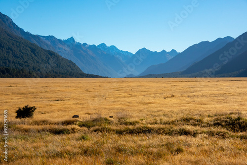 Eglinton Valley - New Zealand