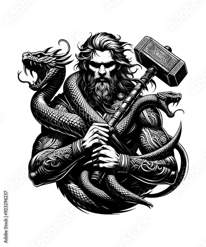Viking warrior