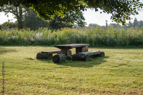 Rustic bench at Cowdray park, West Sussex
 photo