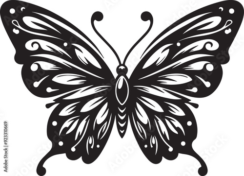 Butterfly Vector Illustration 