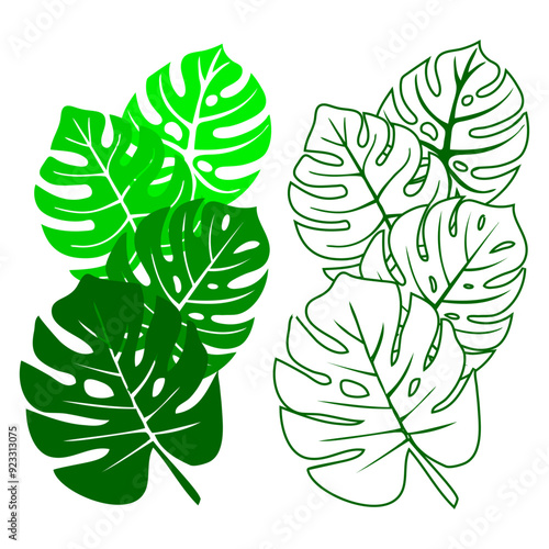 Logo planta tropical. Grupo de hojas de planta monstera con línea exterior y relleno	