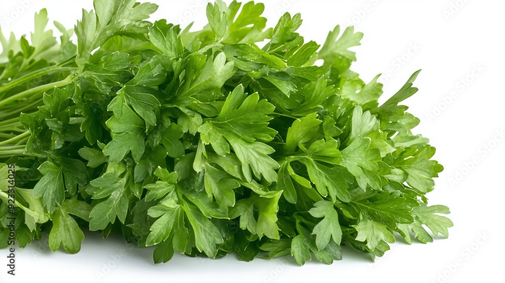 Close up of green leaves of parsley on an isolated white background Close up of green leaves of parsley on an isolated white background