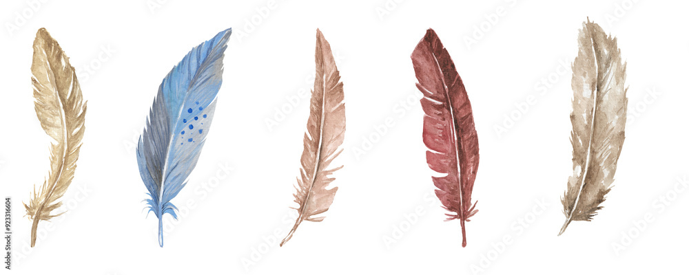 Fluffy Grey Feather PNG Image without Background for Cozy and Warm Visuals Fluffy Grey Feather PNG Image without Background for Cozy and Warm Visuals