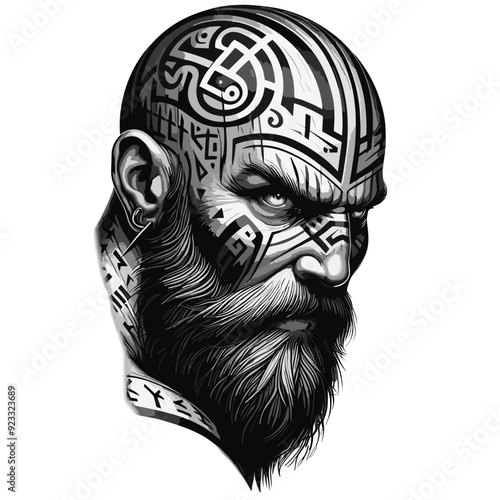 Viking warrior