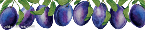Vector horizontal banner blue plums and leaves, white background, watercolor illustration, for card poster invitation design backgrounds