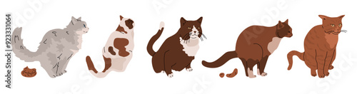 Set with pooping cats. Maintenance and care of pets. Responsibility for the pet and the environment. Vector cartoon illustration isolated on a transparent background.