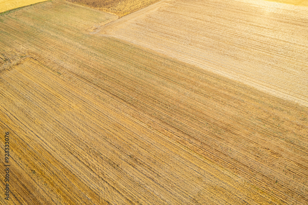 drone aerial view of freshly harvested wheat fields in summer, agricultural work concept drone aerial view of freshly harvested wheat fields in summer, agricultural work concept