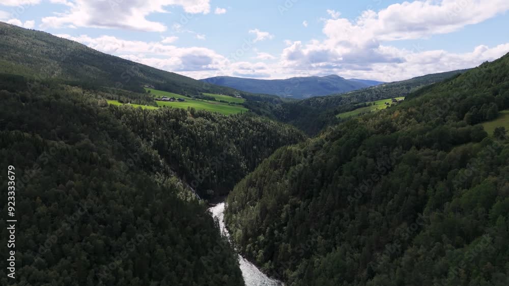 Aerial view of a lush forest valley with a winding river, surrounded by rolling hills and clear skies. establishing shot Aerial view of a lush forest valley with a winding river, surrounded by rolling hills and clear skies. establishing shot
