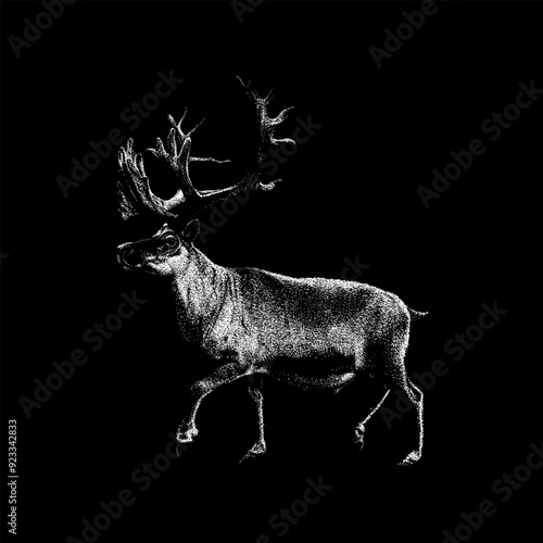 Reindeer hand drawing vector isolated on black background. photo