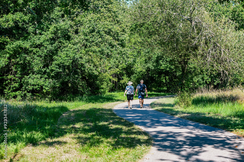 Fototapeta premium Walking or cycling on the cycle paths in the southwest of France