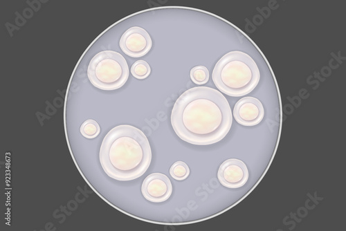 Stem cells and petri dish. Embryonic stem cell microscope background. Biotechnology. Biology. Medical science background. 