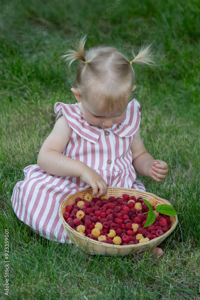 a little girl eats a raspberry. Selective focus a little girl eats a raspberry. Selective focus