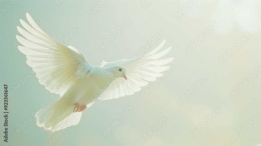 A pure white dove captured mid-flight against a soft, misty background, epitomizing peace and grace. A pure white dove captured mid-flight against a soft, misty background, epitomizing peace and grace.