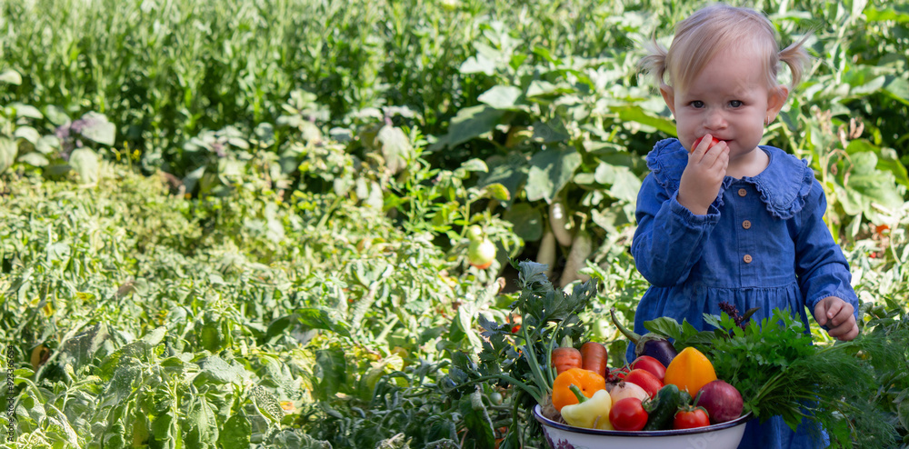 little girl freshly picked vegetables in a bowl. Selective focus little girl freshly picked vegetables in a bowl. Selective focus