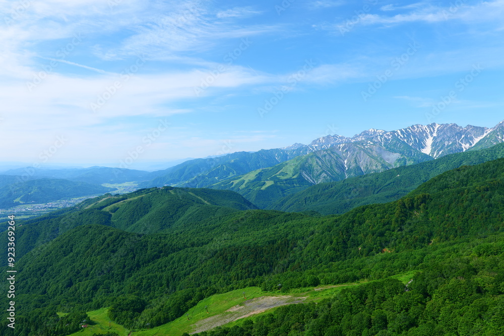 Naklejka premium 初夏の栂池自然園。小谷、長野、日本。6月下旬。