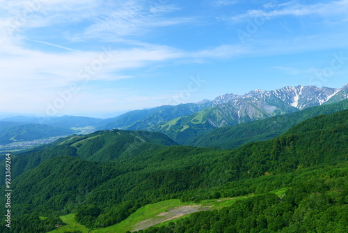 初夏の栂池自然園。小谷、長野、日本。6月下旬。 photo