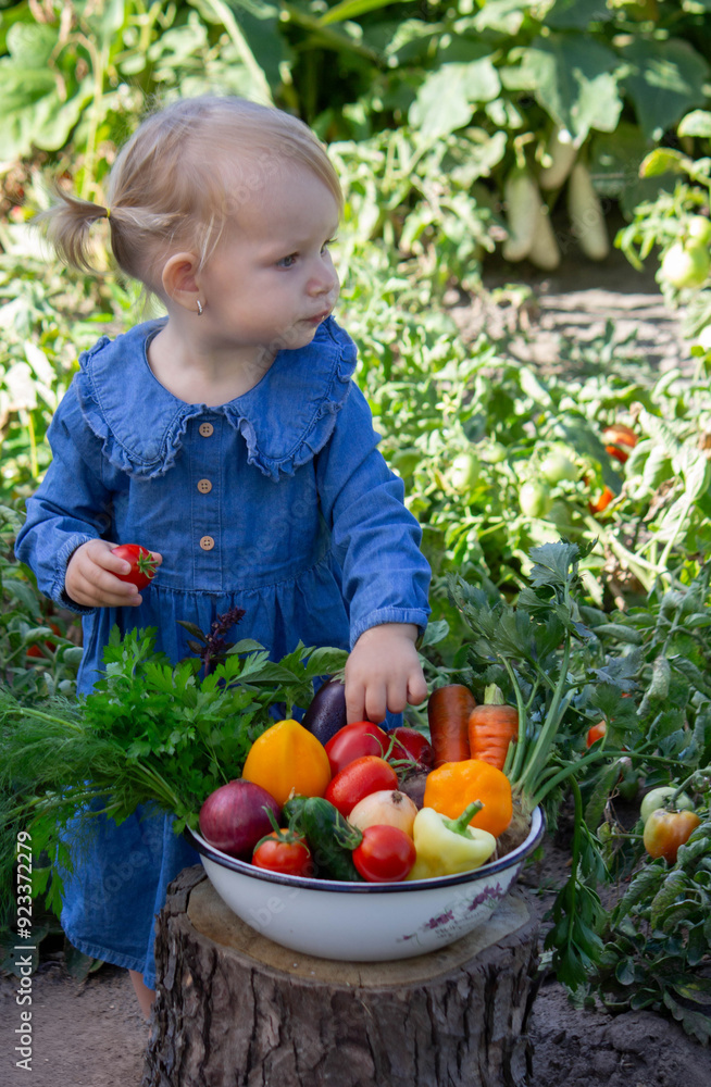 little girl freshly picked vegetables in a bowl. Selective focus little girl freshly picked vegetables in a bowl. Selective focus