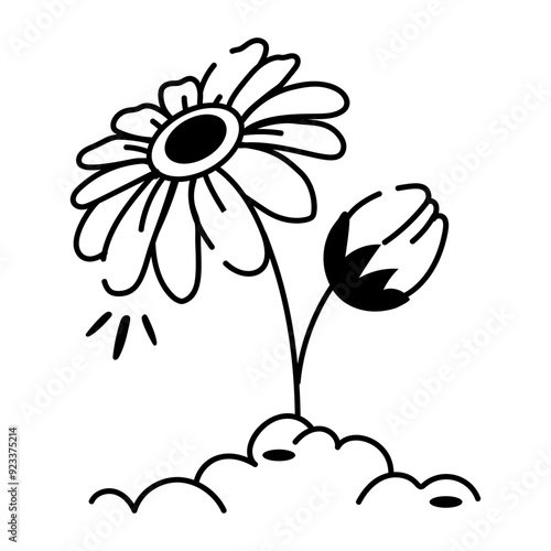 A sketchy style icon of aster plant 