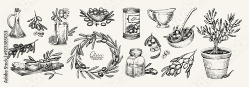 Engraved set of olive branches, trees, bowls. Bottles, jars of organic oil. Natural Italian food. Vintage pencil sketch of fruit tree twigs with leaves. Hand drawn isolated vector illustrations